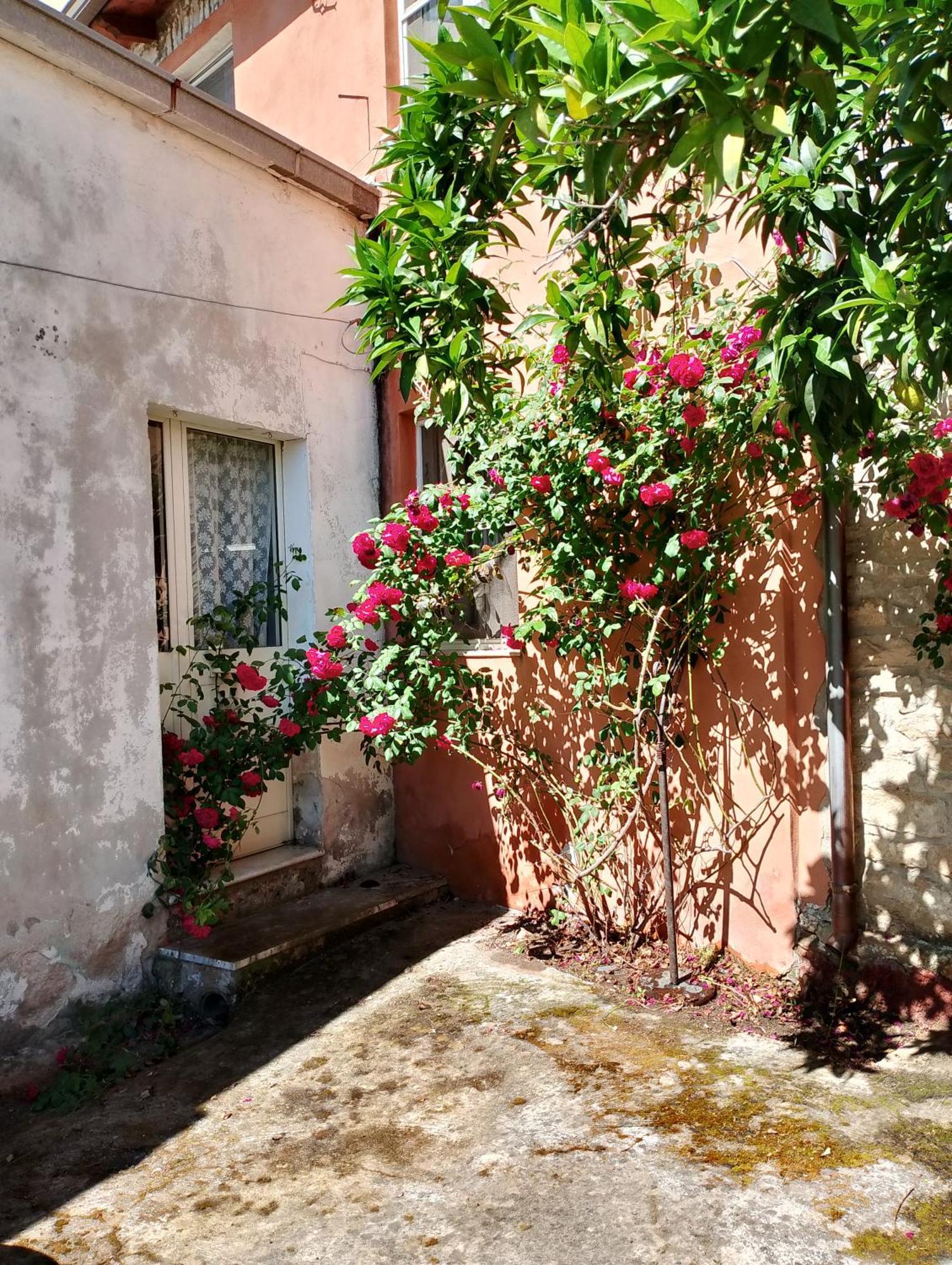 La Corte Degli Aranci Senorbi Kültér fotó